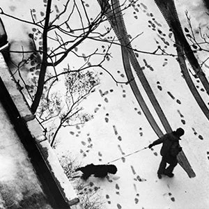 Andre Kertesz.jpg