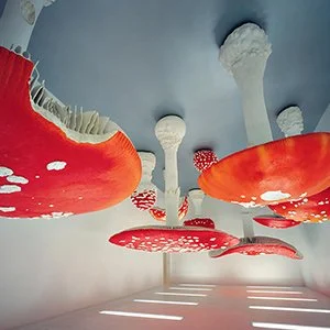 Carsten Holler copy.jpg