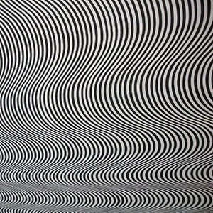 Bridget Riley.jpg