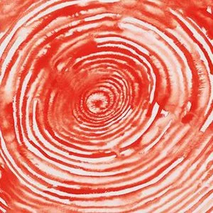 Louise Bourgeois.jpg