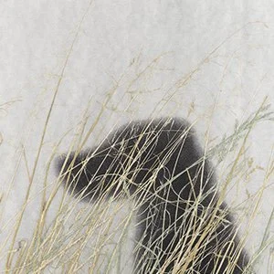 Ed Ruscha.jpg
