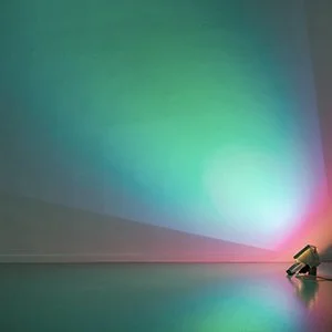 Ann Veronica Janssens.jpg