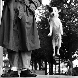 Elliott Erwitt