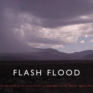 Richard Long, Flash Flood.jpg