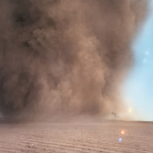 Francis Alÿs.png