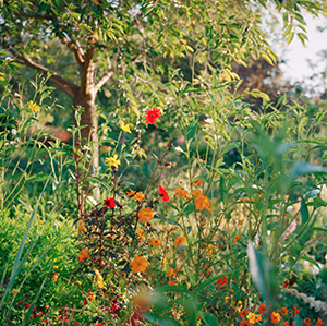 Elger Esser copy.png