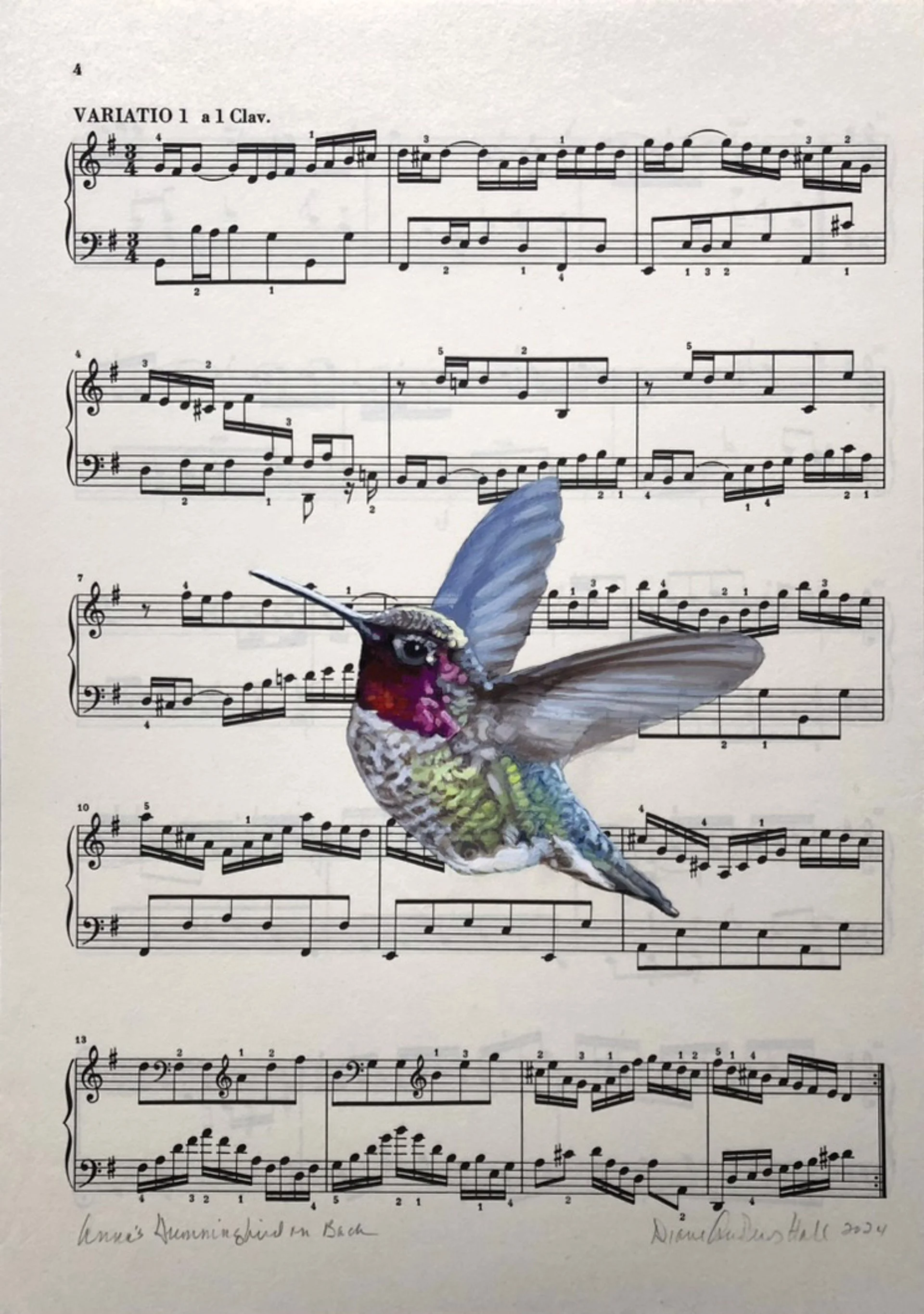 Diane Andrews Hall, Anna's Hummingbird on Bach, oil on sheet music, 30.5 × 22.9 cm, 2025.jpg