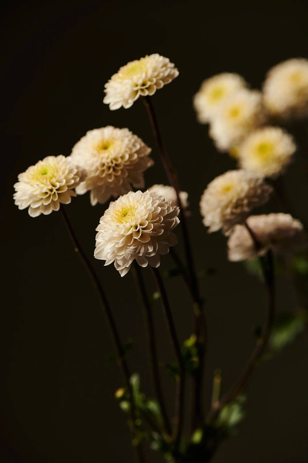 TEST_0170.jpg