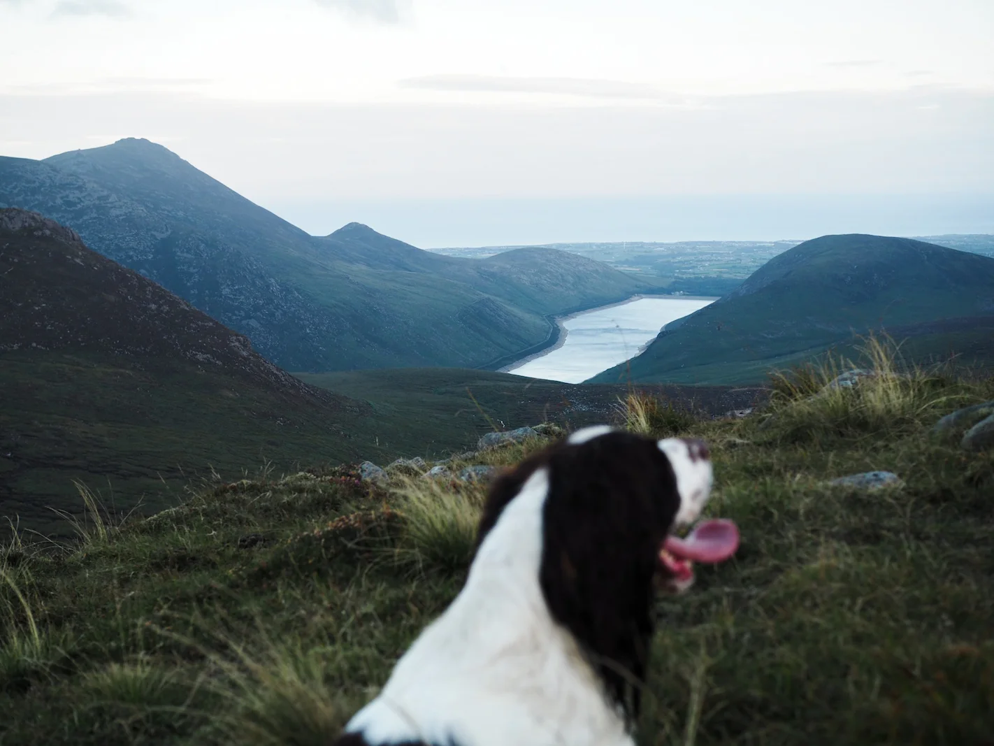 Views from Slieve Doan