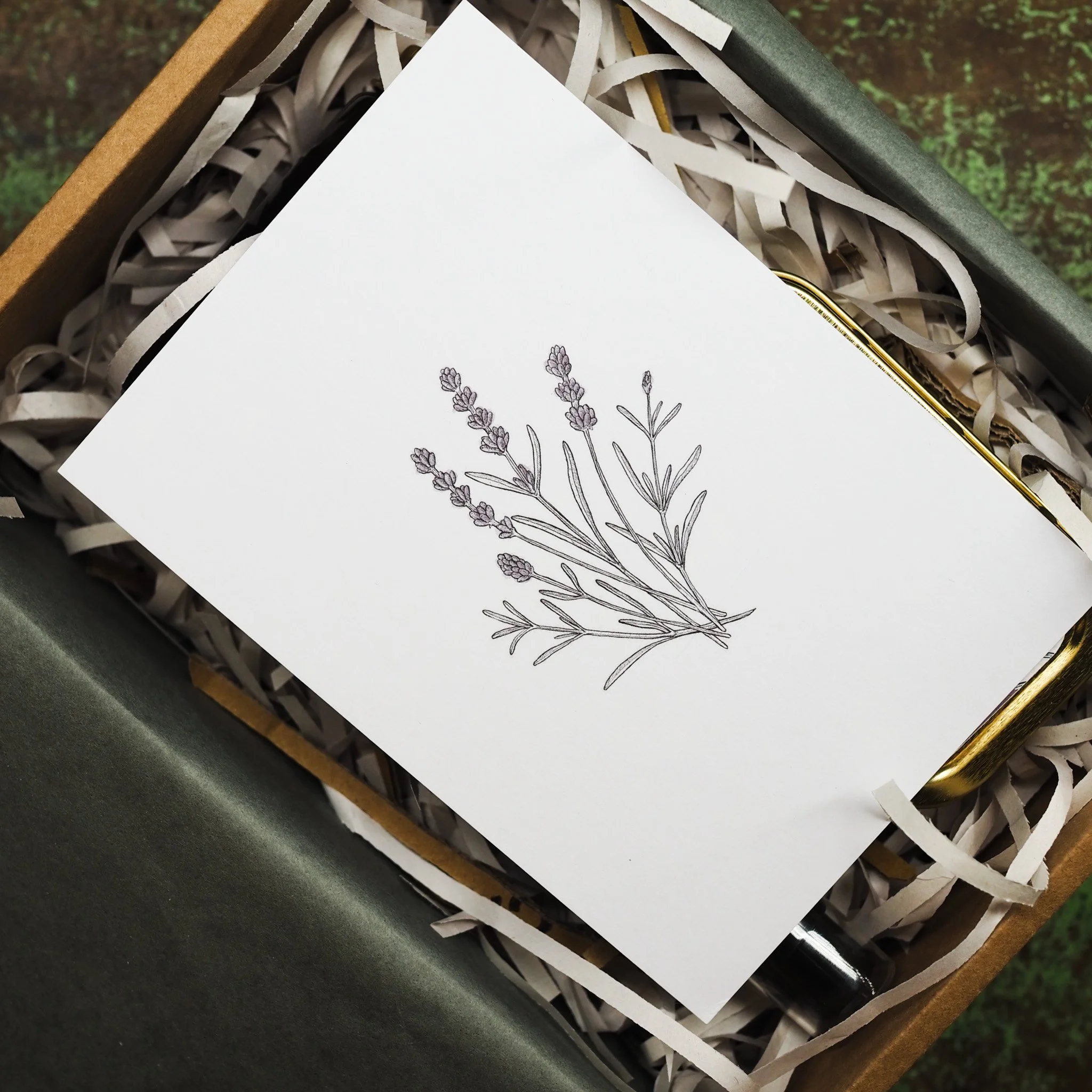 A print of the scent Lavender from the Botanical Collection.