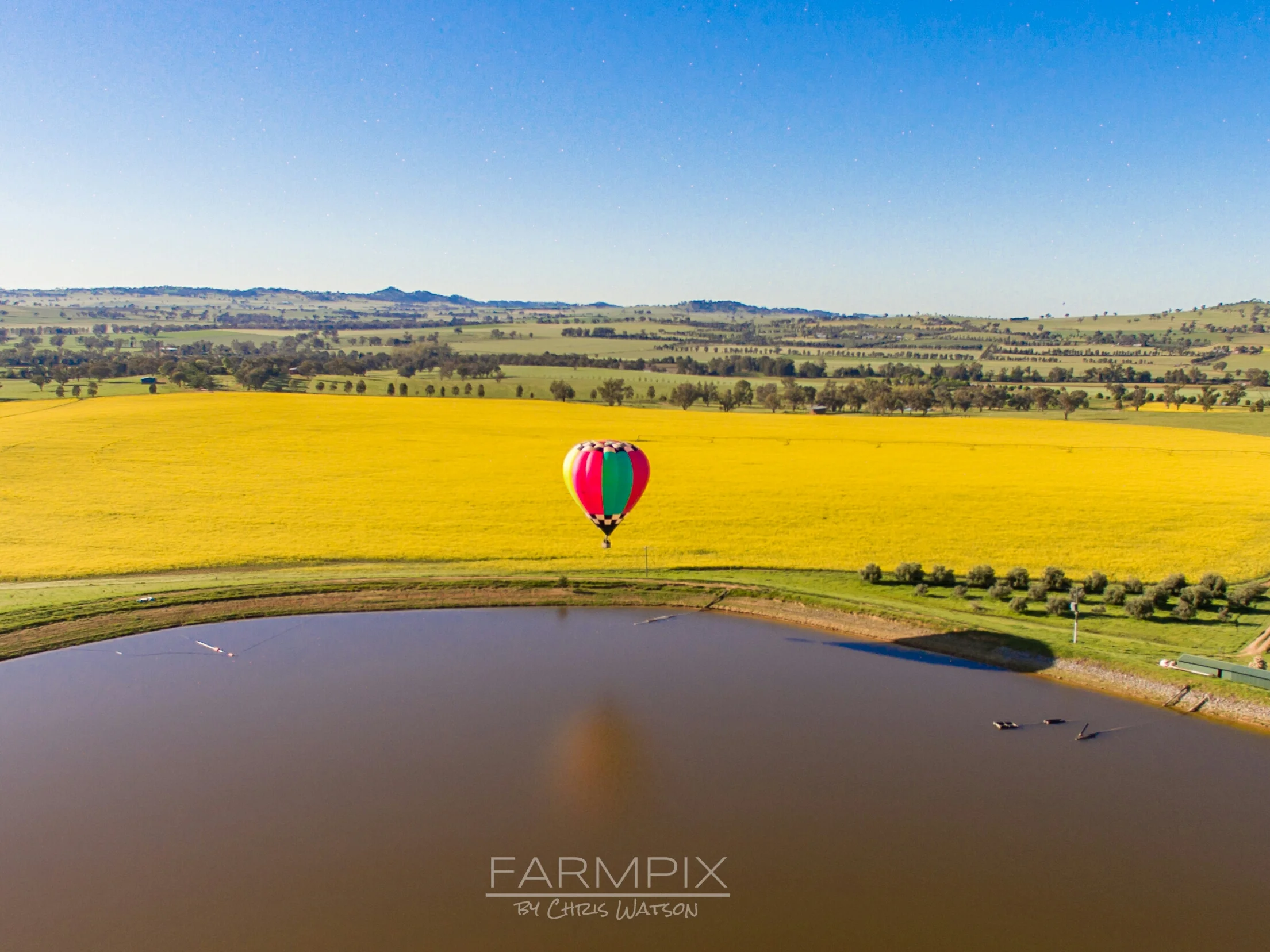 Balloon canola_w.jpg