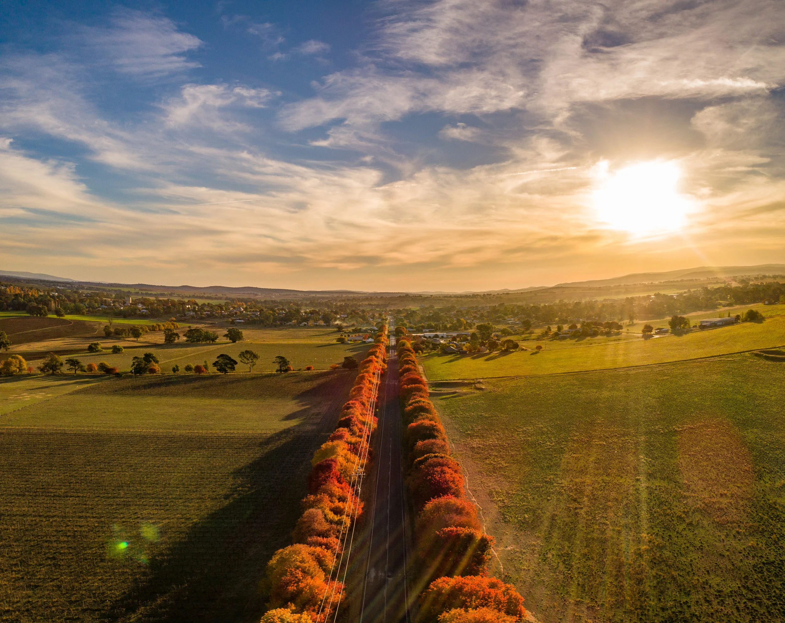 mandurama rd autumn--2.jpg