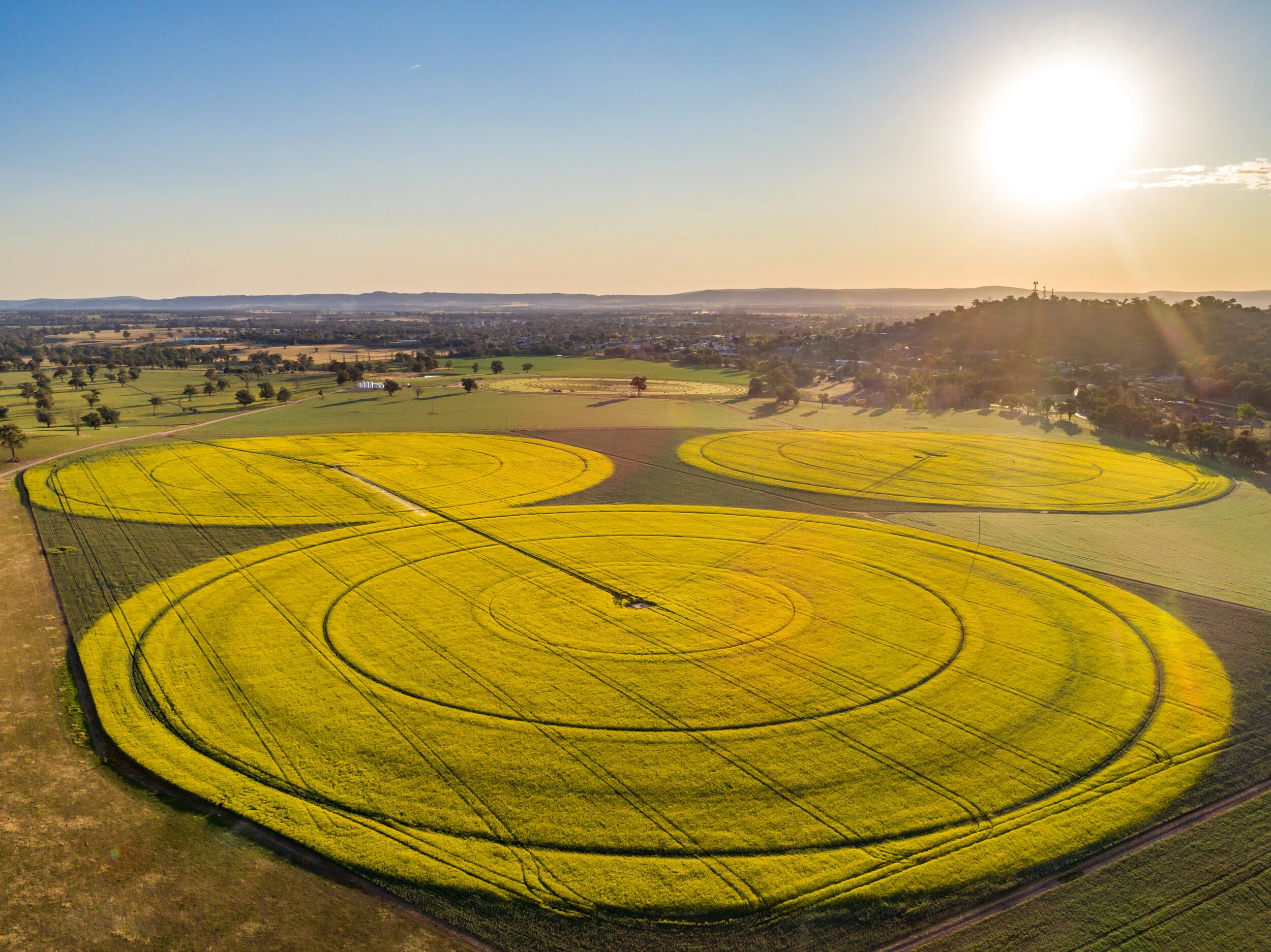 cowra canola pivot-0104-6.jpg