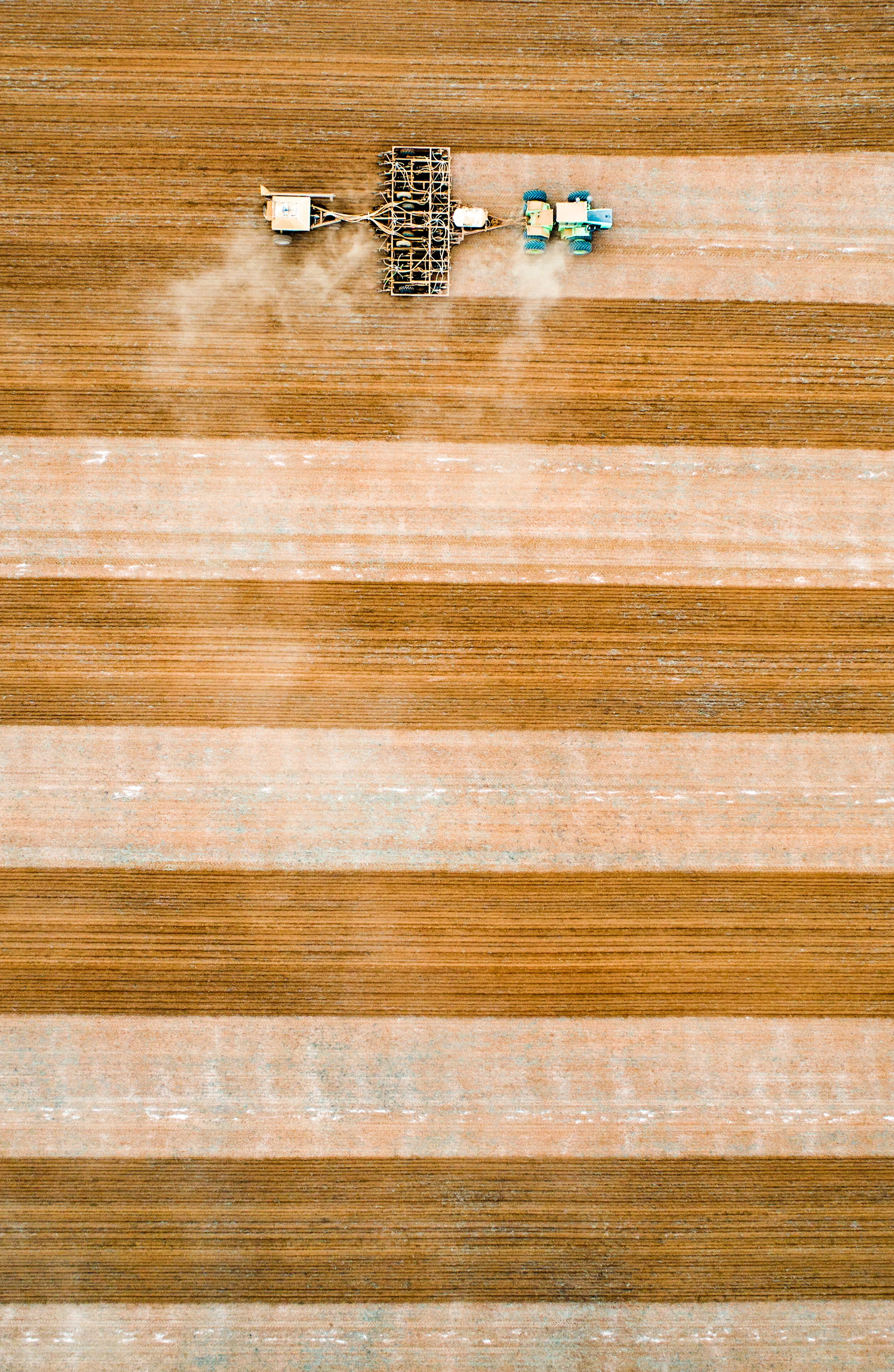 geoff sowing-2.jpg