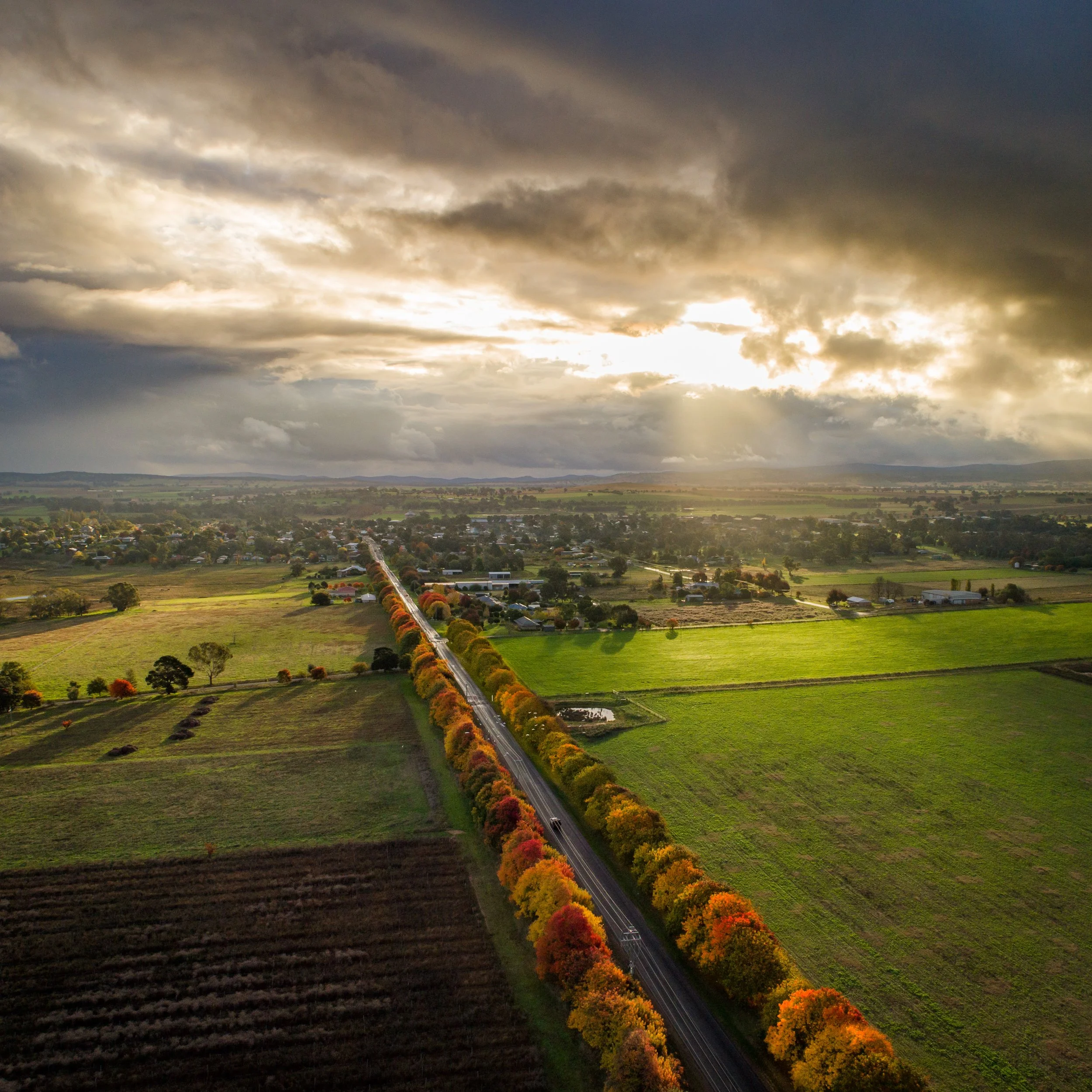 autumn rays 2022-0335-6.JPG