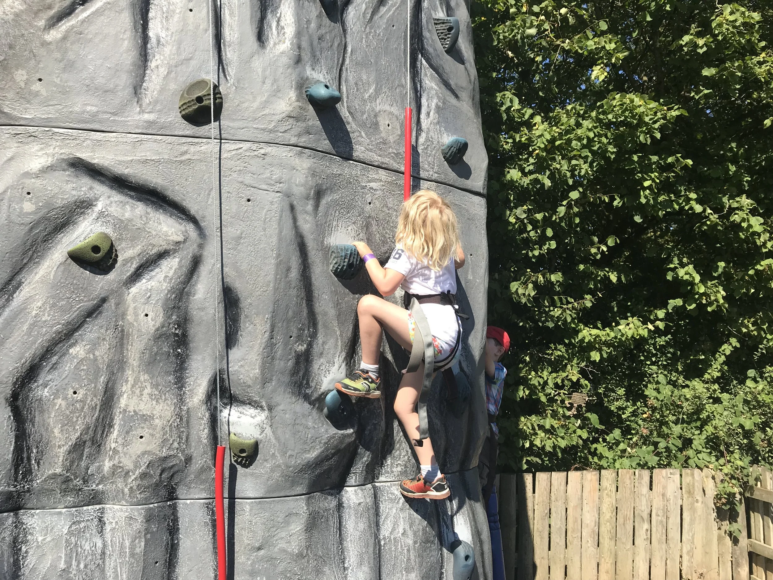 Willow Climbing.jpg