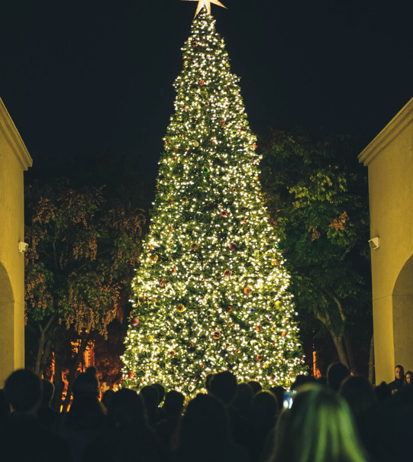 Charles N. Barnard - 17th December 2019