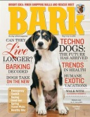 Bark Magazine 
