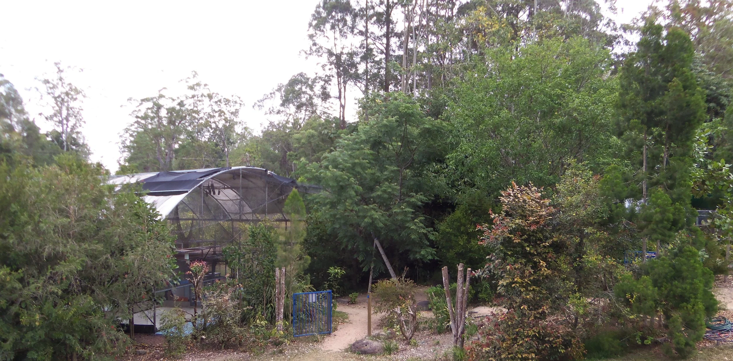 Bat Conservation in Australia — Animal Experience International