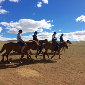 horse on mongolian steppe little.jpg