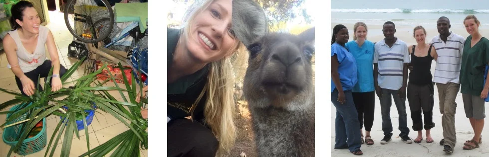 wildlife centres banner.jpg