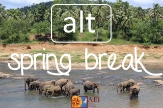 What are you doing for spring break?