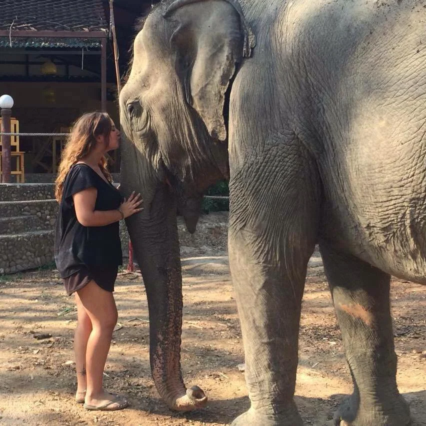 Readers Digest says no to elephant...
