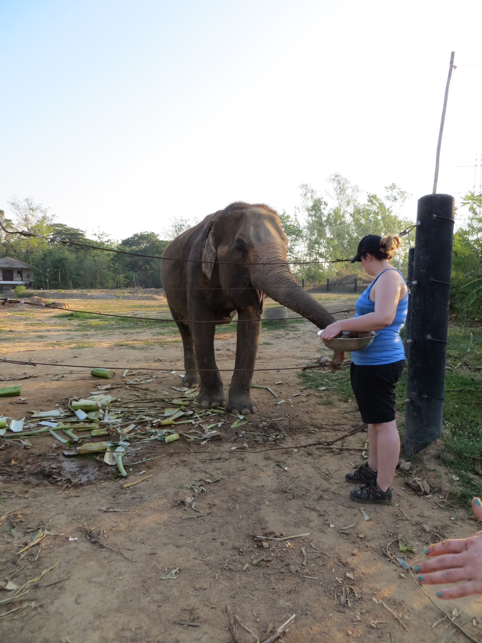 Samantha feeding Duepen her Banana balls on my first day.jpeg