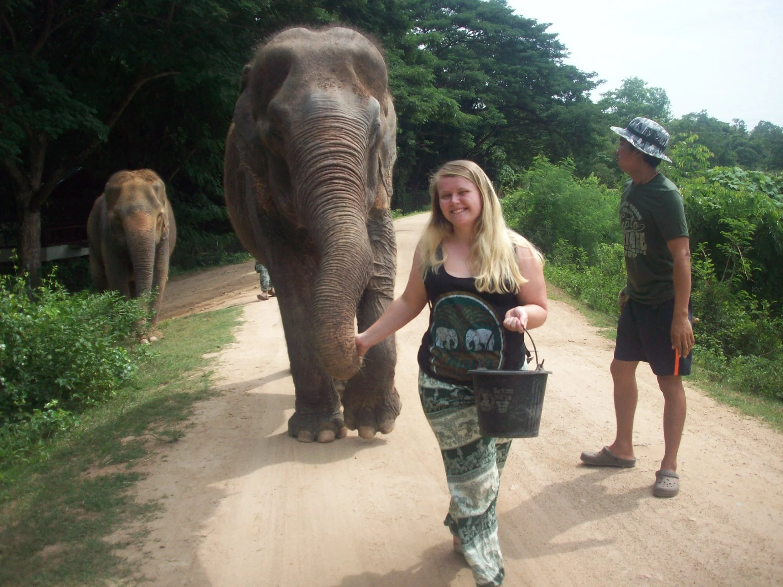 We are Elephant Friends, and friendly!