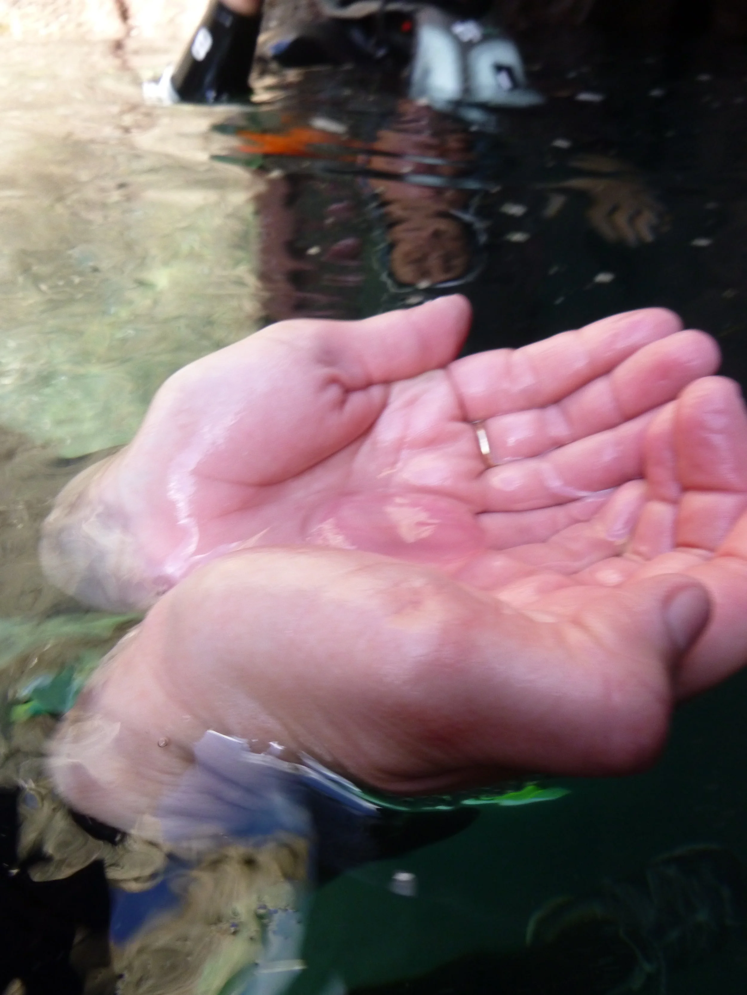 Oceanology for me and you.