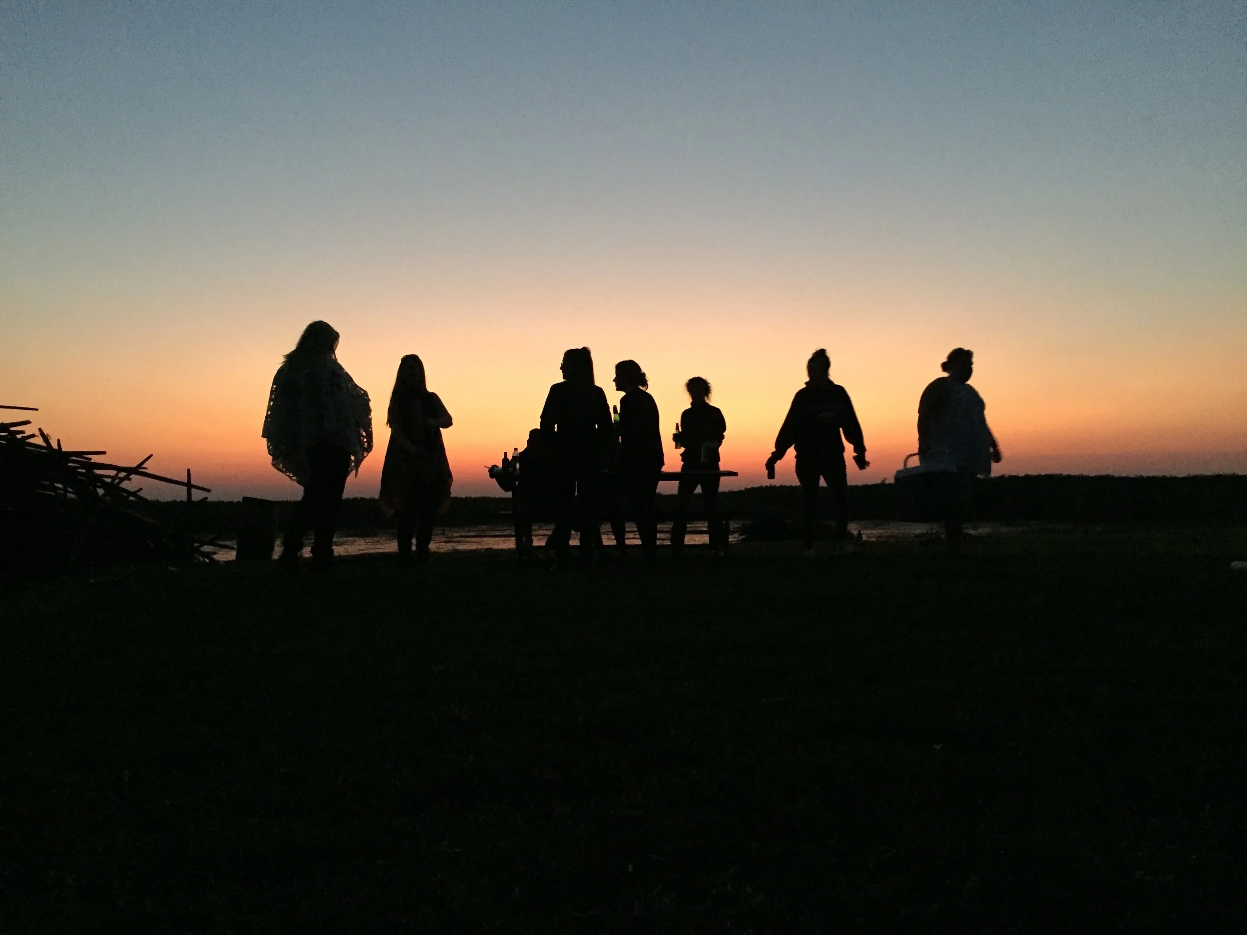 Poachers are just a symptom of the toxic problem. 