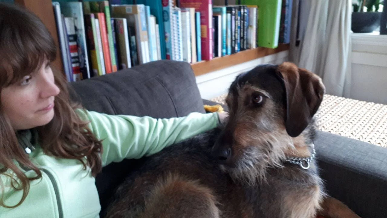 4 Incredible Women Making a Difference in Animal Welfare