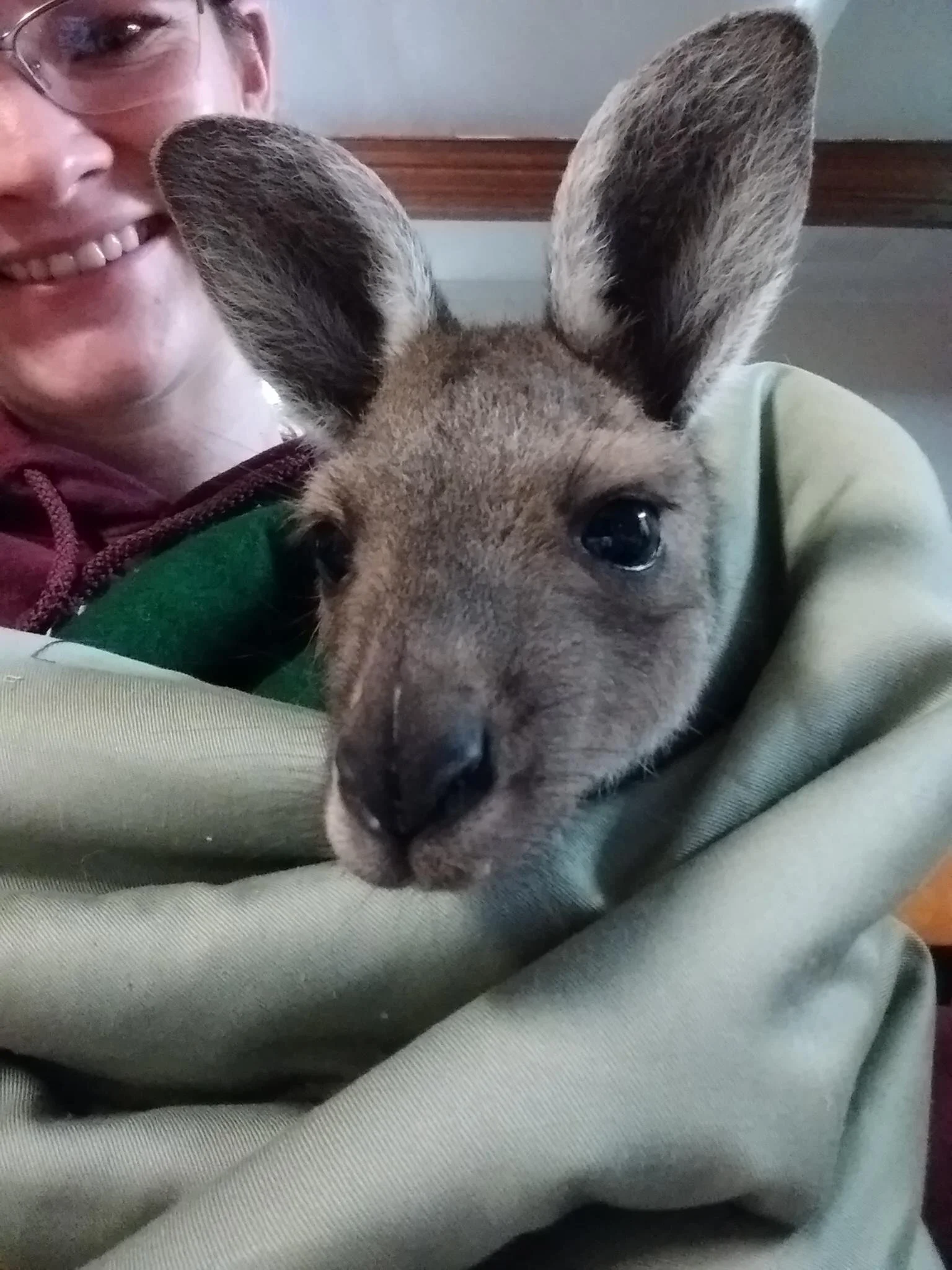 Volunteering in Australia.