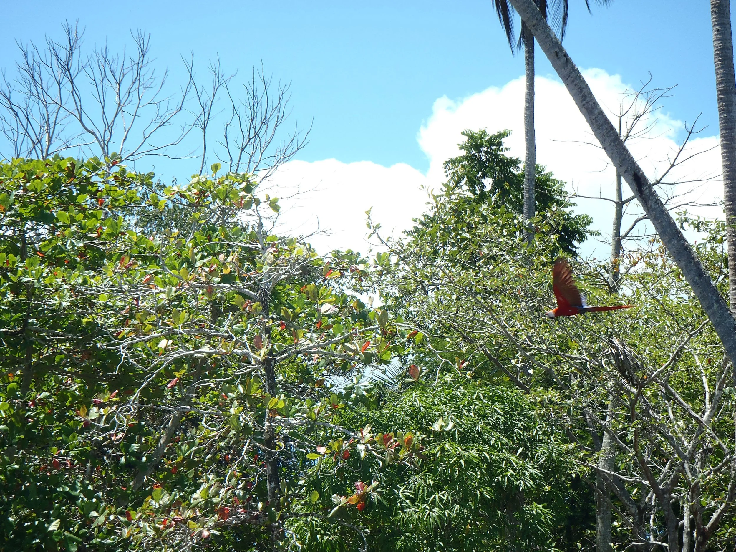 Consent Based Tourism