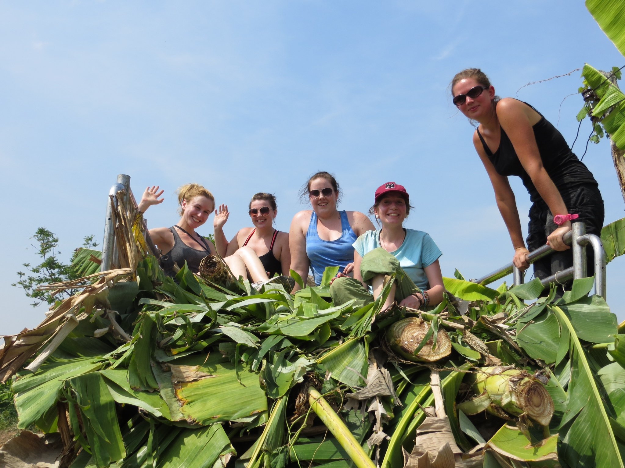 Our harvest group on top of the harvest truck filled with banana trees.jpeg