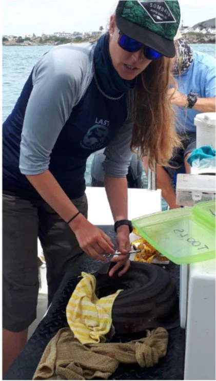 A Vegetarian Goes Fishing in South Africa.