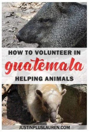 Expedition Guatemala Throwback