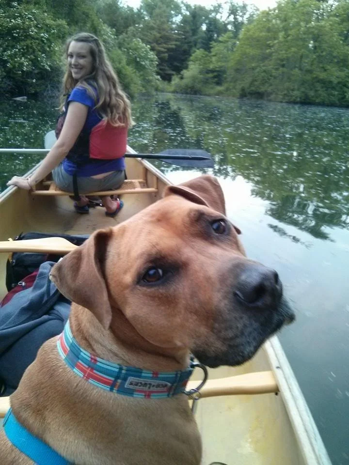 Fix Georgia Pets guest blog
