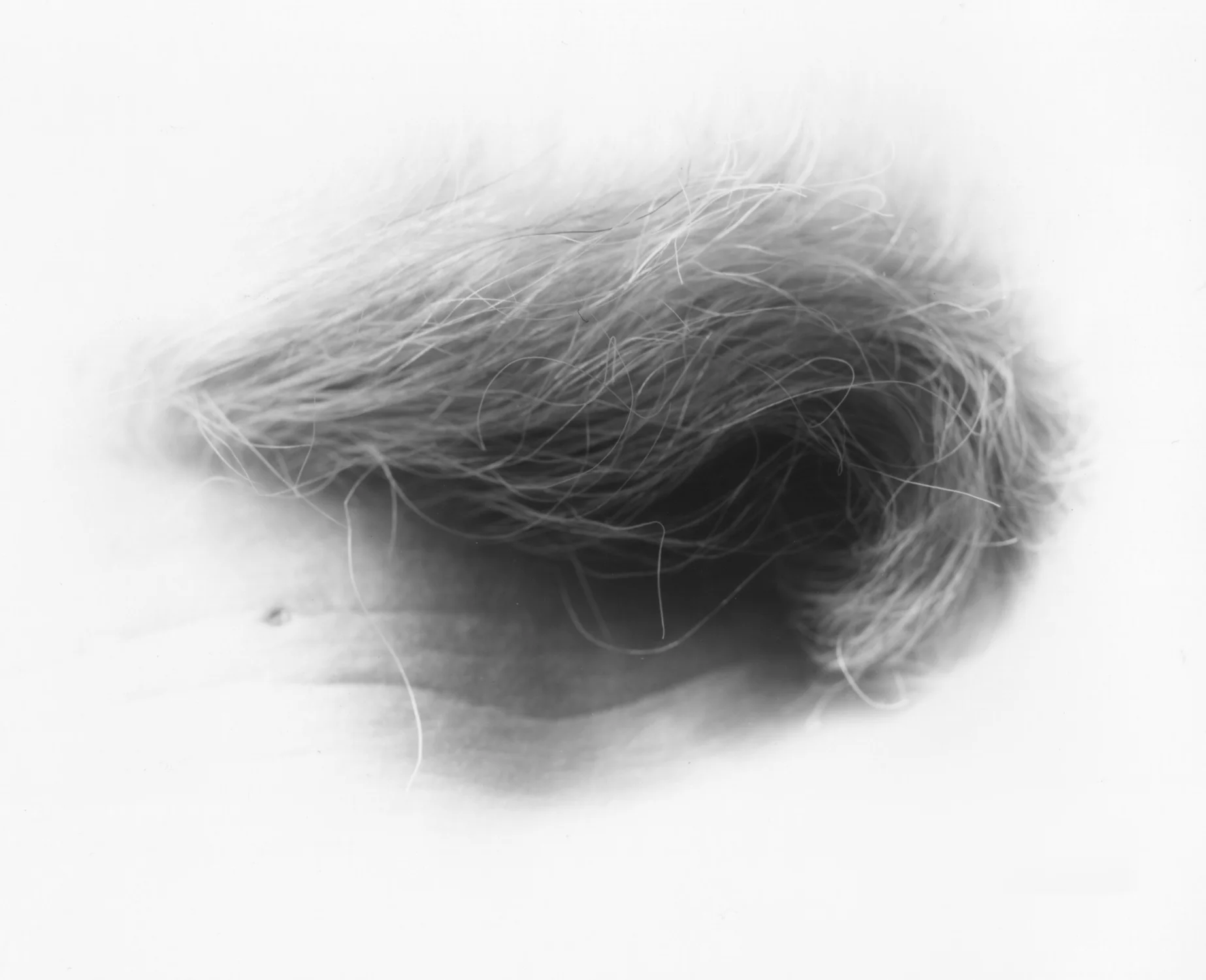 STUDY, II