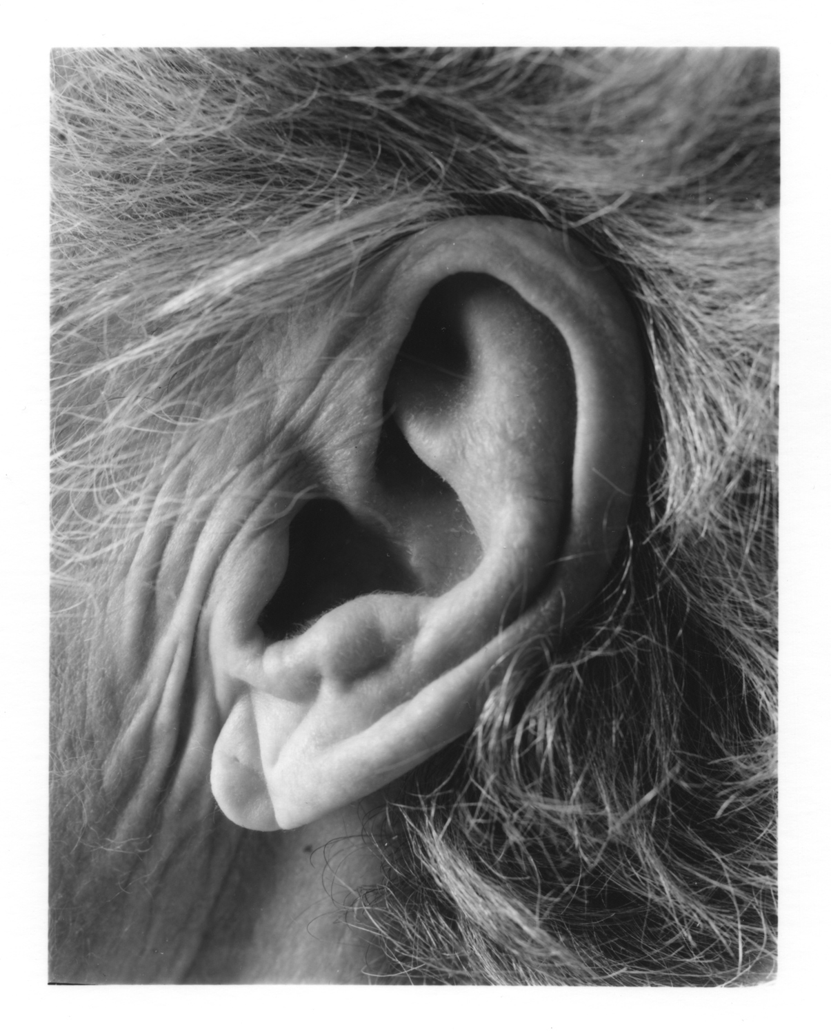 LEFT EAR