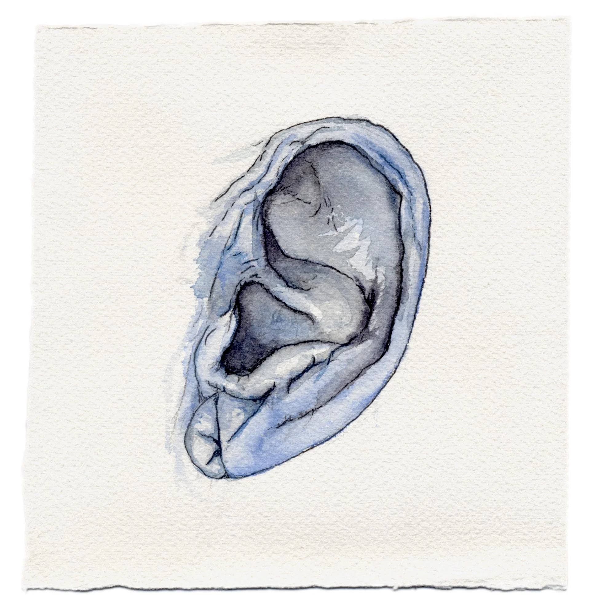 L. EAR, ITERATION IX