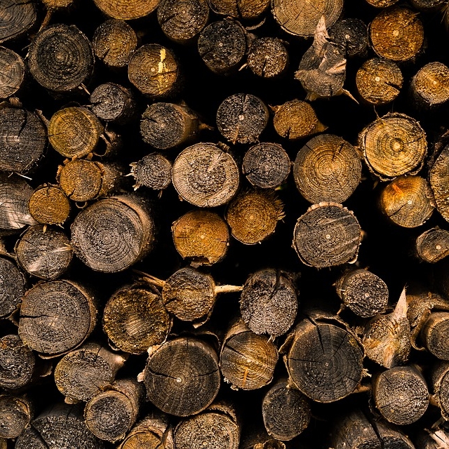 wood-3279022_960_720.jpg