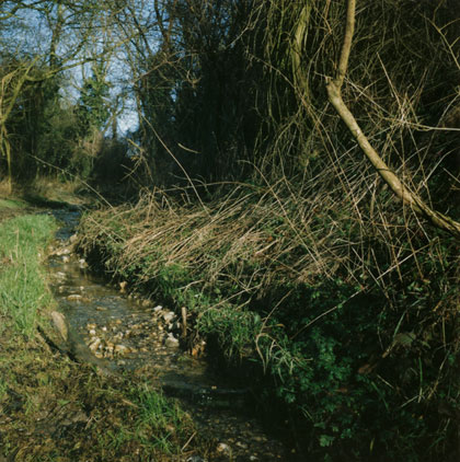 Stream, Sandon