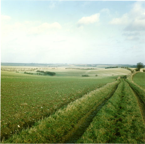 View onto Icknield Way