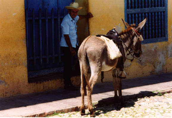 Trinidad