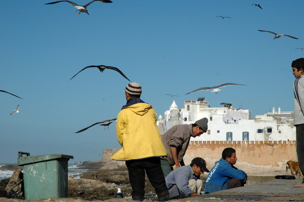 Fishermen Essaouria