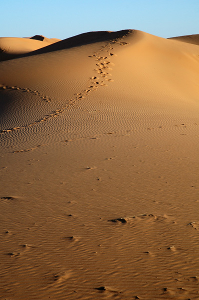 Sand Dune