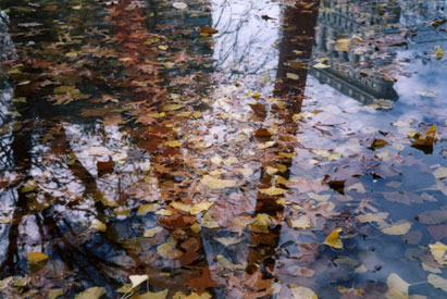 Reflection, Flatiron