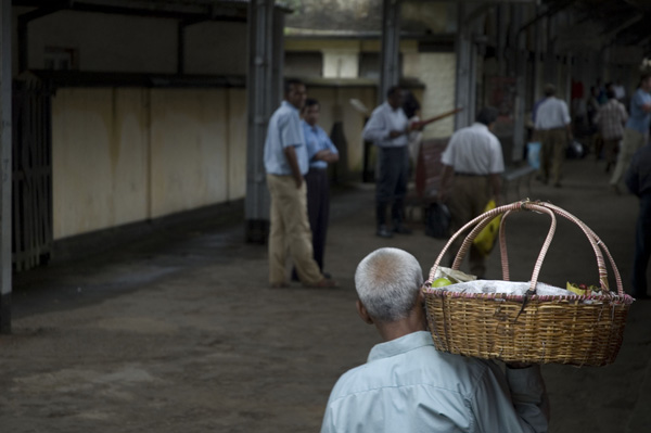 Man with Basket, En route to Ella