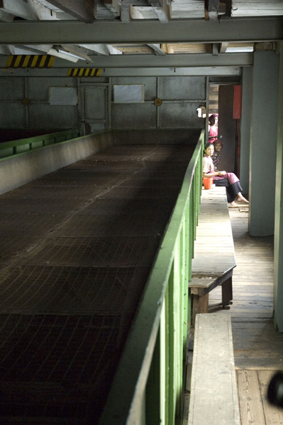 Tea Factory, Kandy